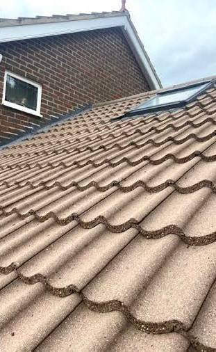 Dachhaut nach der Reinigung