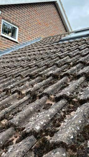 Dachhaut vor der Reinigung