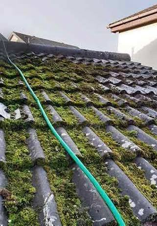 Dachhaut vor der Reinigung