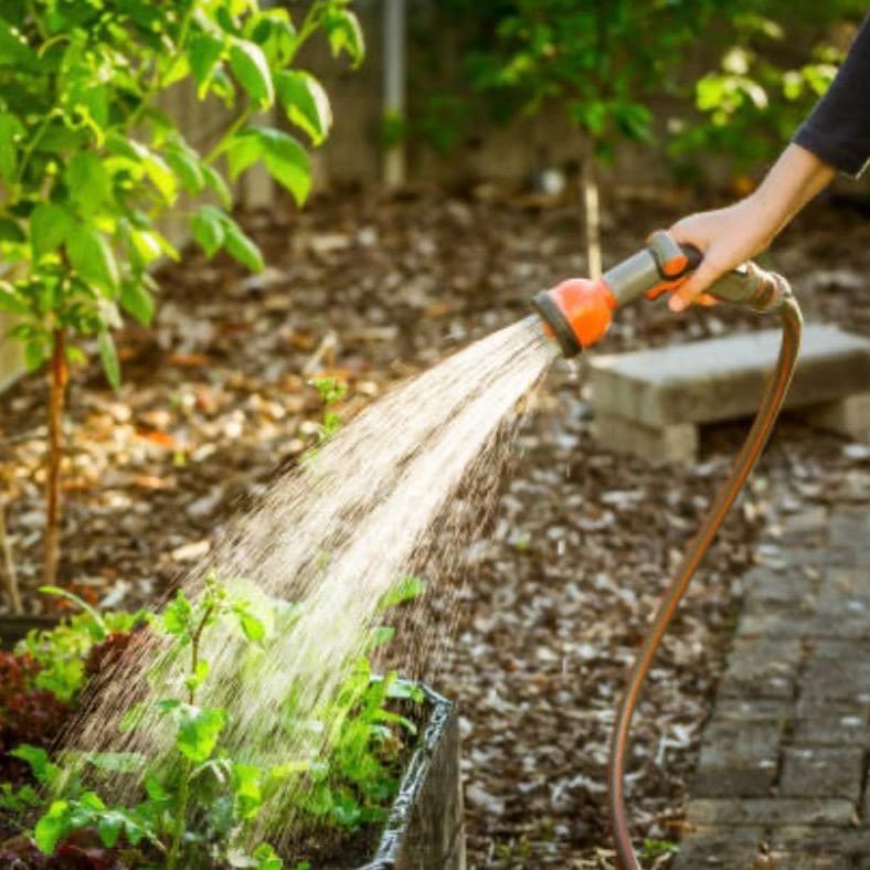 Gartenpflege und Bewässerungsservice: Fachgerechtes Gießen von Pflanzen und Beeten für einen gesunden und grünen Garten im Sommer.