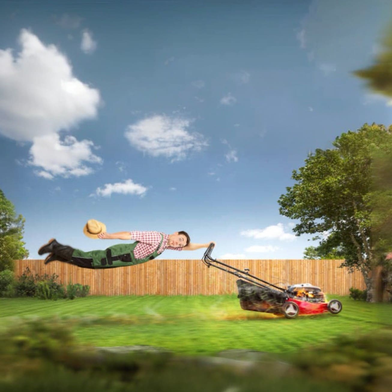 Professionelle Rasenmäherpflege: Schimmel-, Algen- und Moosentfernung für einen gesunden Rasen.