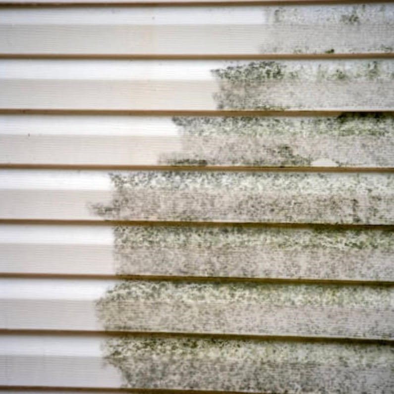 Professionelle Fassadenreinigung gegen Algen und Schimmel: Effektive Entfernung von Verschmutzungen an der Außenwand eines Gebäudes.